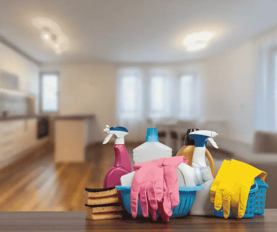 KleenBuddy-House Cleaning-Main